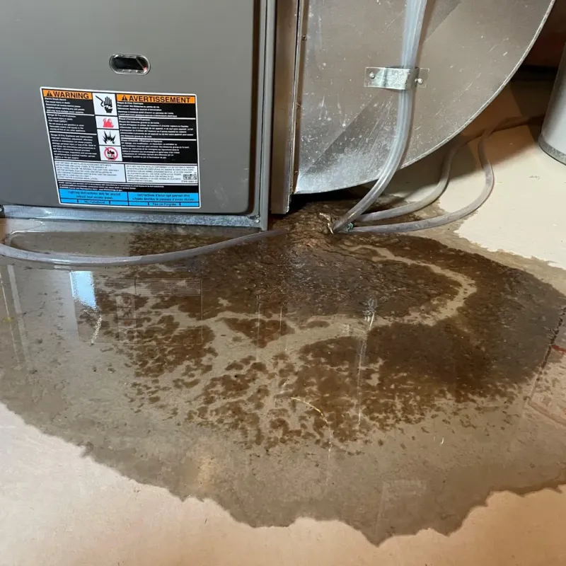 Appliance Leak Cleanup in Dade County, GA